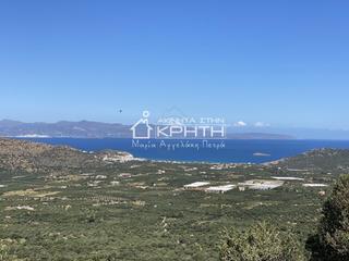 Οικόπεδο 19.000 τ.μ. για πώληση