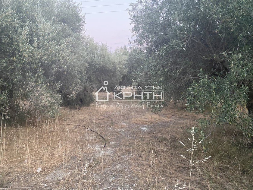 Land plot 6.000sqm for rent-Ierapetra » Stomio