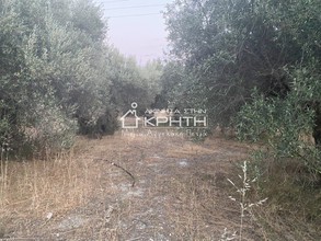 Land plot 6.000sqm for rent-Ierapetra » Stomio