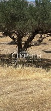 Land plot 1.400sqm for sale-Ierapetra » Kentri