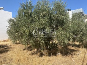 Land plot 400sqm for sale-Agios Nikolaos