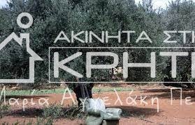 Οικόπεδο 3.700 τ.μ. για πώληση, Ν. Λασιθίου, Ιεράπετρα