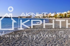 Land plot 13.000sqm for sale-Ierapetra