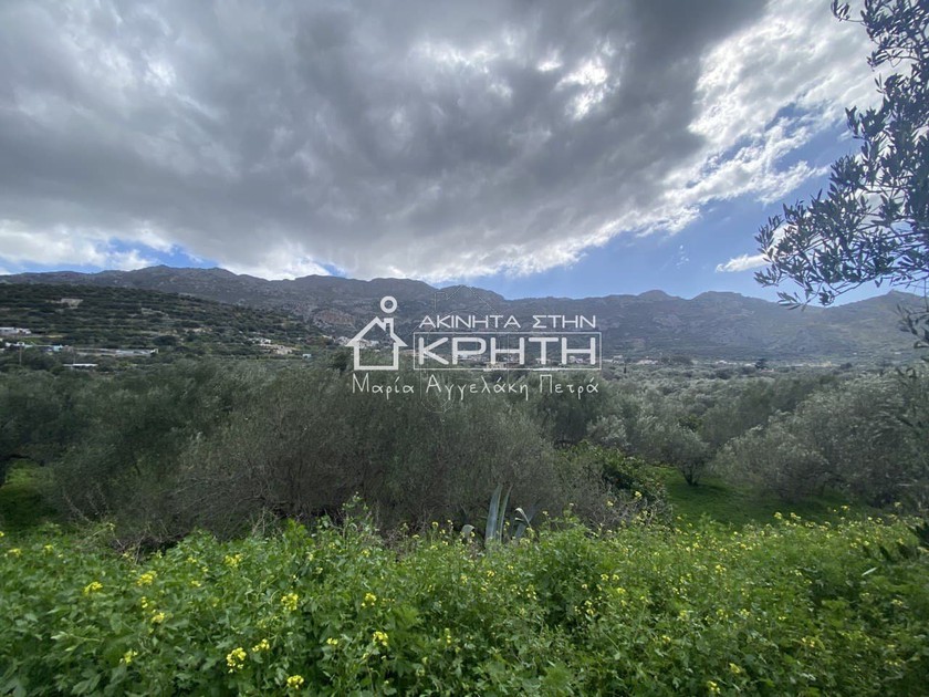 Land plot 2.700sqm for sale-Ierapetra » Episkopi