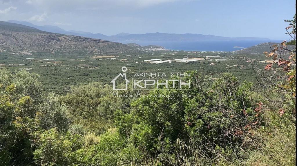 Οικόπεδο 1.650 τ.μ. προς πώληση, Μοναστηράκι Ιεράπετρας