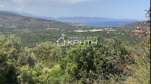 Land plot 1.650sqm for sale-Ierapetra » Monastiraki