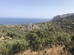 Land plot 4.447sqm for sale-Siteia » Mochlos