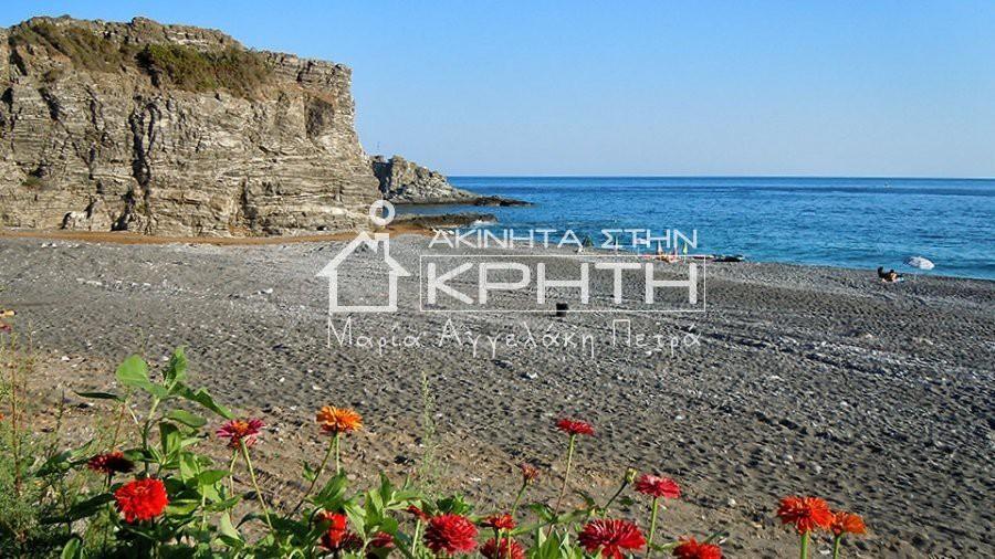Οικόπεδο 1.307 τ.μ. προς πώληση, Ψαρή Φοράδα