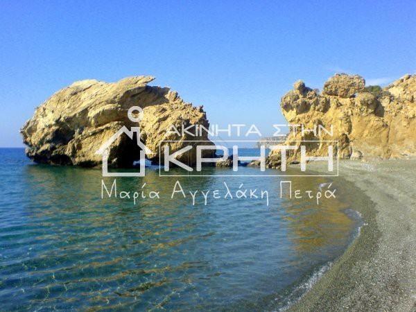 Οικόπεδο 1.307 τ.μ. προς πώληση, Ψαρή Φοράδα