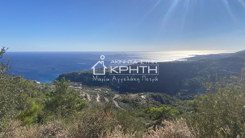 Land plot 10.000sqm for sale-Ierapetra » Agia Fotia