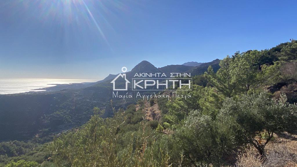 Οικόπεδο 10.000 τ.μ. πρός πώληση, Ν. Λασιθίου, Ιεράπετρα