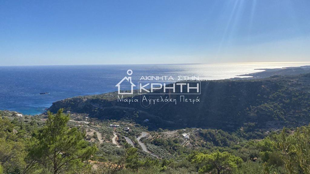 Οικόπεδο 10.000 τ.μ. πρός πώληση, Ν. Λασιθίου, Ιεράπετρα