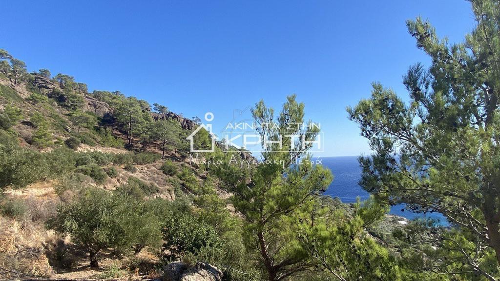 Οικόπεδο 10.000 τ.μ. πρός πώληση, Ν. Λασιθίου, Ιεράπετρα