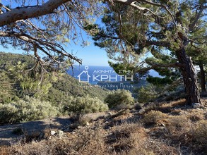 Land plot 3.700sqm for sale-Ierapetra