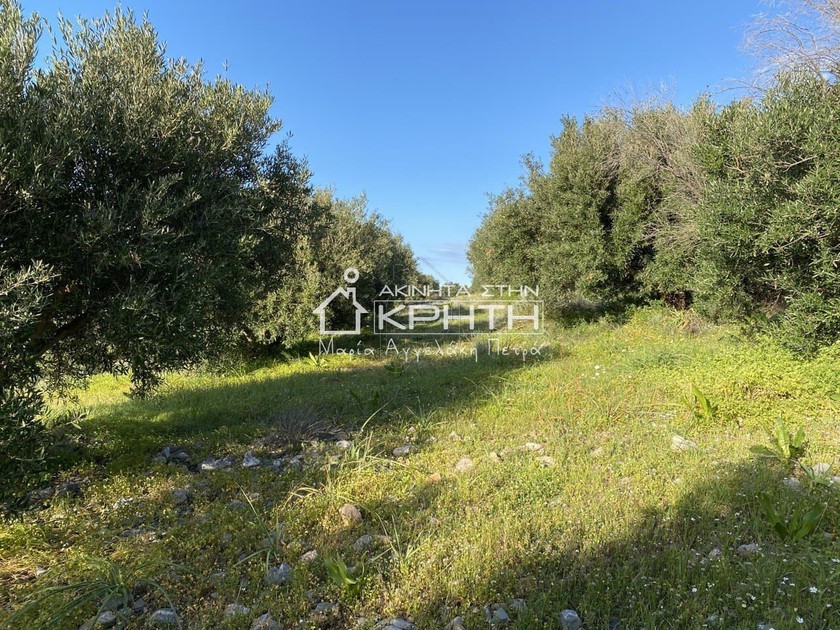 Οικόπεδο 4.500 τ.μ. για πώληση