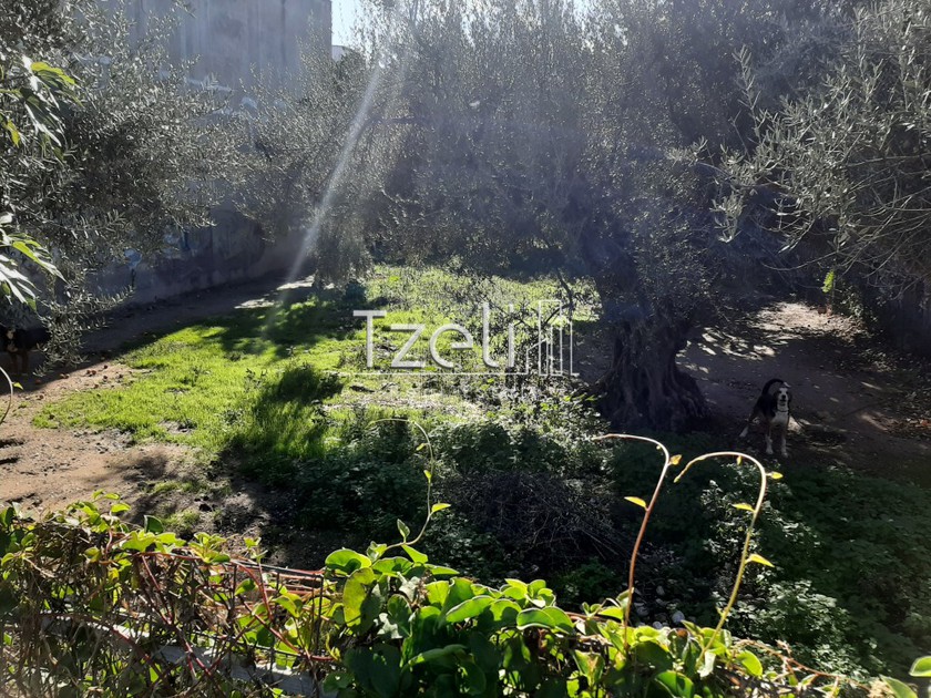 Land plot 342sqm for sale-Messatida » Demenika