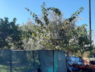 Οικόπεδο 342 τ.μ. για πώληση, Αχαΐα, Μεσσατίδα-thumb-3