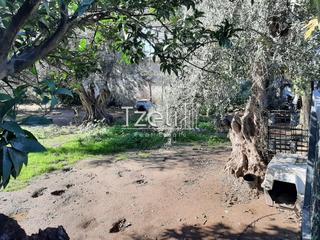 Οικόπεδο 342 τ.μ. για πώληση, Αχαΐα, Μεσσατίδα-thumb-4