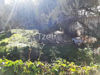 Οικόπεδο 342 τ.μ. για πώληση, Αχαΐα, Μεσσατίδα-thumb-7