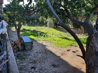 Οικόπεδο 342 τ.μ. για πώληση, Αχαΐα, Μεσσατίδα-thumb-8