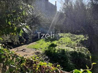 Οικόπεδο 342 τ.μ. για πώληση, Αχαΐα, Μεσσατίδα-thumb-10