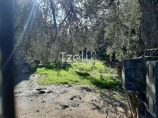 Οικόπεδο 342 τ.μ. για πώληση, Αχαΐα, Μεσσατίδα-thumb-12