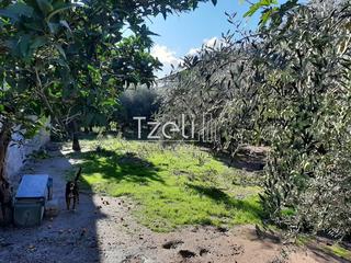 Οικόπεδο 342 τ.μ. για πώληση, Αχαΐα, Μεσσατίδα-thumb-15
