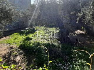 Οικόπεδο 342 τ.μ. για πώληση, Αχαΐα, Μεσσατίδα-thumb-17