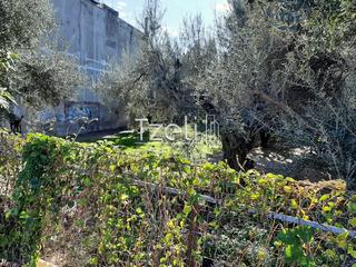 Οικόπεδο 342 τ.μ. για πώληση, Αχαΐα, Μεσσατίδα-thumb-20