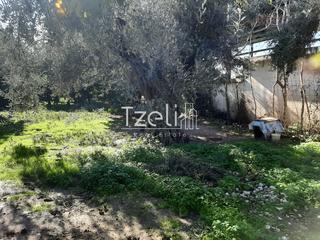 Οικόπεδο 342 τ.μ. για πώληση, Αχαΐα, Μεσσατίδα-thumb-23
