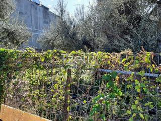 Οικόπεδο 342 τ.μ. για πώληση, Αχαΐα, Μεσσατίδα-thumb-26
