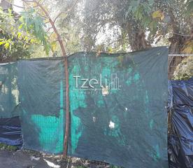 Οικόπεδο 342 τ.μ. για πώληση, Αχαΐα, Μεσσατίδα-thumb-27