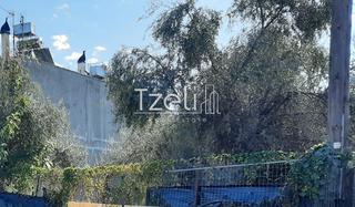 Οικόπεδο 342 τ.μ. για πώληση, Αχαΐα, Μεσσατίδα-thumb-29