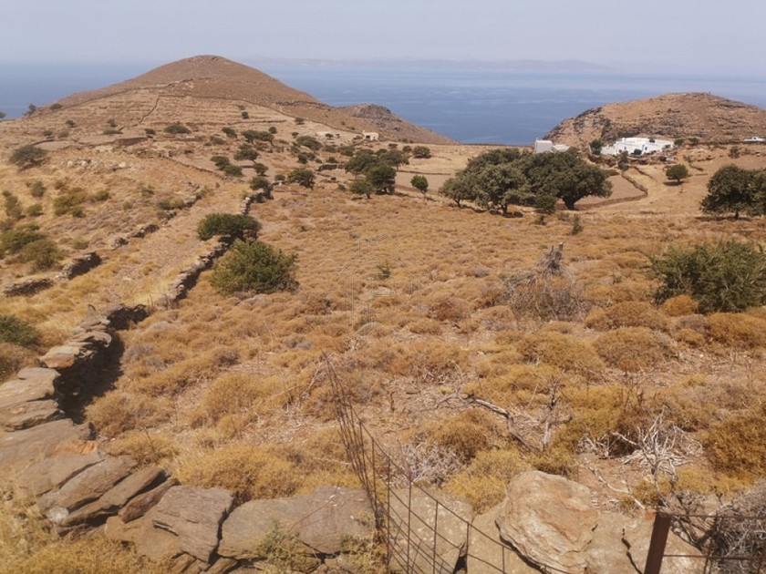 Οικόπεδο 10.420τ.μ. για πώληση-Κέα » Πήσσες