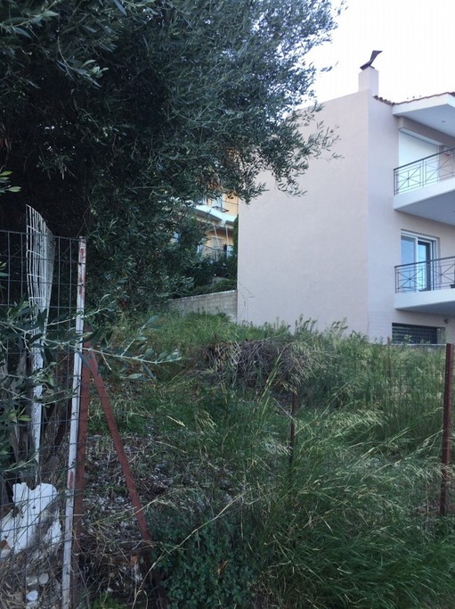 Οικόπεδο 225 τ.μ. για πώληση