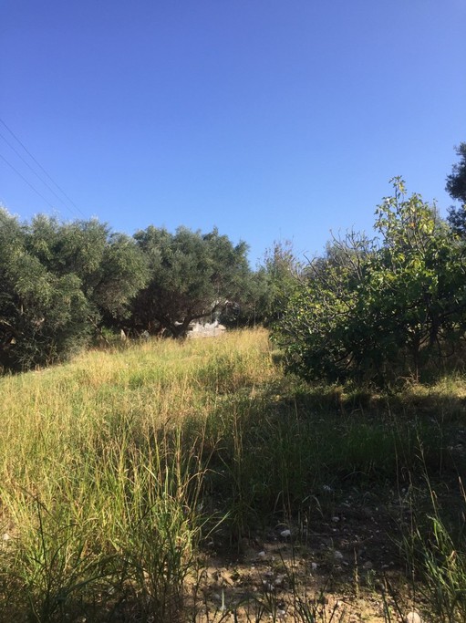 Οικόπεδο 640 τ.μ. για πώληση