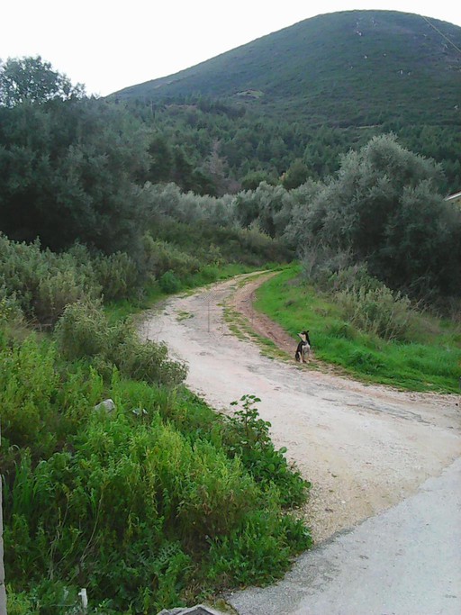 Οικόπεδο 500 τ.μ. για πώληση