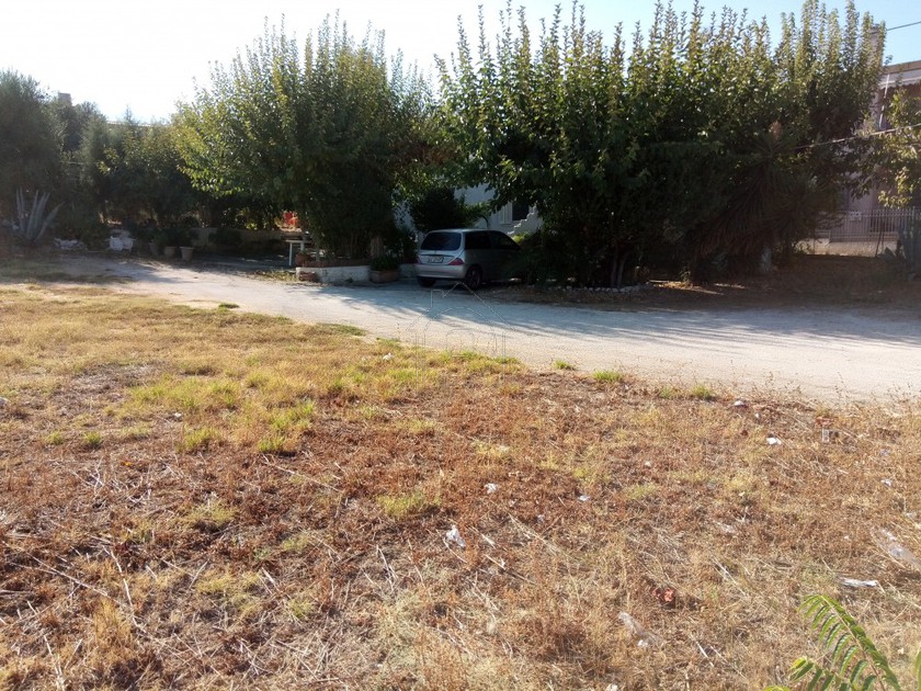 Οικόπεδο 1.800 τ.μ. για πώληση