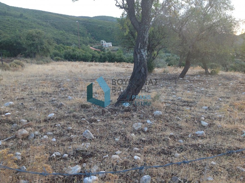 Οικόπεδο 4.000 τ.μ. για πώληση