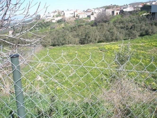Land plot 1.000 sqm for sale