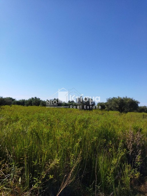 Land plot 7.519sqm for sale-Iardanos » Prasino