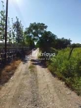 Οικόπεδο 7.519 τ.μ. για πώληση, Ν. Ηλείας, Ιαρδανός-thumb-1