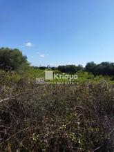 Οικόπεδο 7.519 τ.μ. για πώληση, Ν. Ηλείας, Ιαρδανός-thumb-5