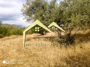 Land plot 1.530sqm for sale-Chios » Agios Minas
