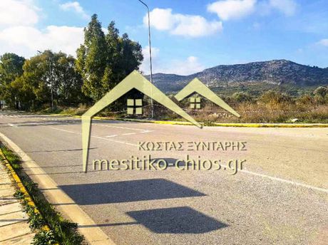 Οικόπεδο 1.297τ.μ. για πώληση-Χίος » Μαστιχοχώρια