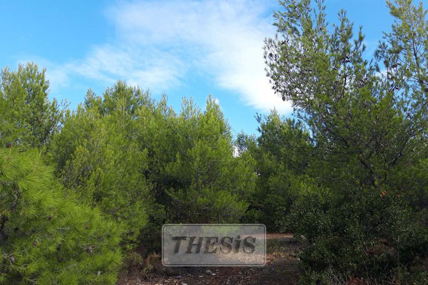 Οικόπεδο 850τ.μ. για πώληση-Πικέρμι » Διώνη