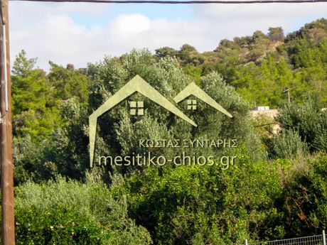 Οικόπεδο 3.285τ.μ. για πώληση-Χίος » Καμποχώρια