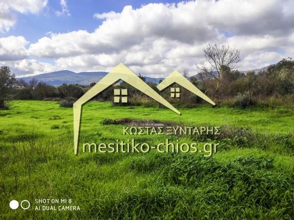 Οικόπεδο 786 τ.μ. για πώληση, Ν. Χίου, Χίος