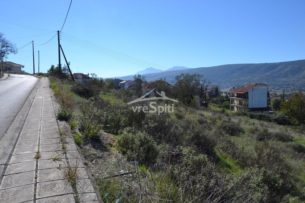 Οικόπεδο 650 τ.μ. προς πώληση, Καρδαμίτσια