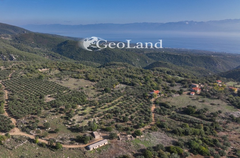 Αγροτεμάχια 5.000 τ.μ. για πώληση